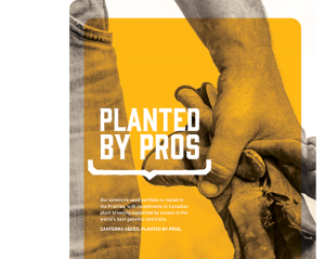 An ad for Canterra Seeds, with the tagline Planted by Pros. It features a farmer's hand that holds beaten up work gloves. It goes on to read: Our extensive seed portfolio is rooted in the Prairies, with investments in Canadian plant breeding supported by access to the world's best genetics and traits.